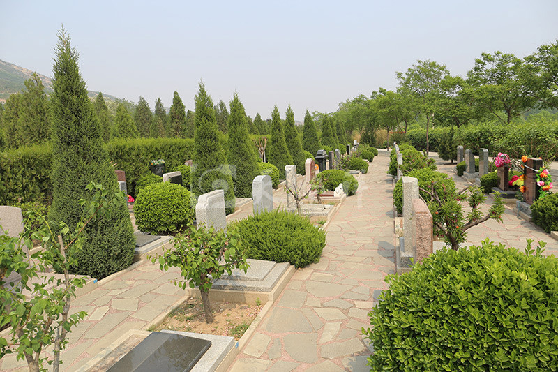 古中山陵园墓区实拍