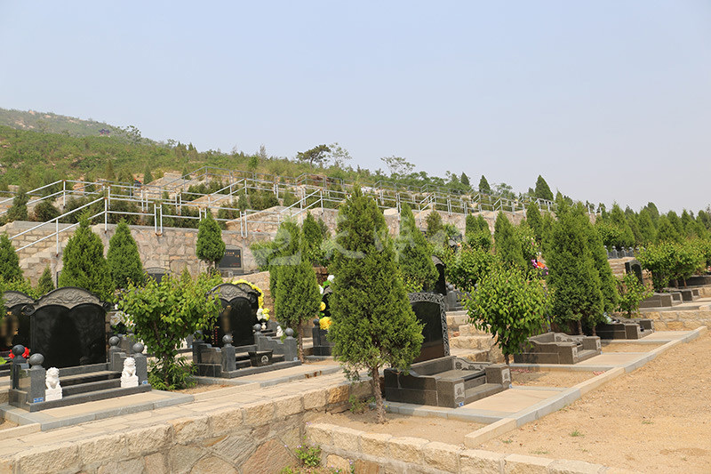 古中山陵园墓区绿化