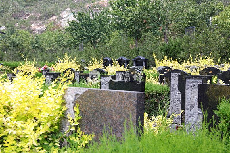 古中山陵园墓区绿化景观
