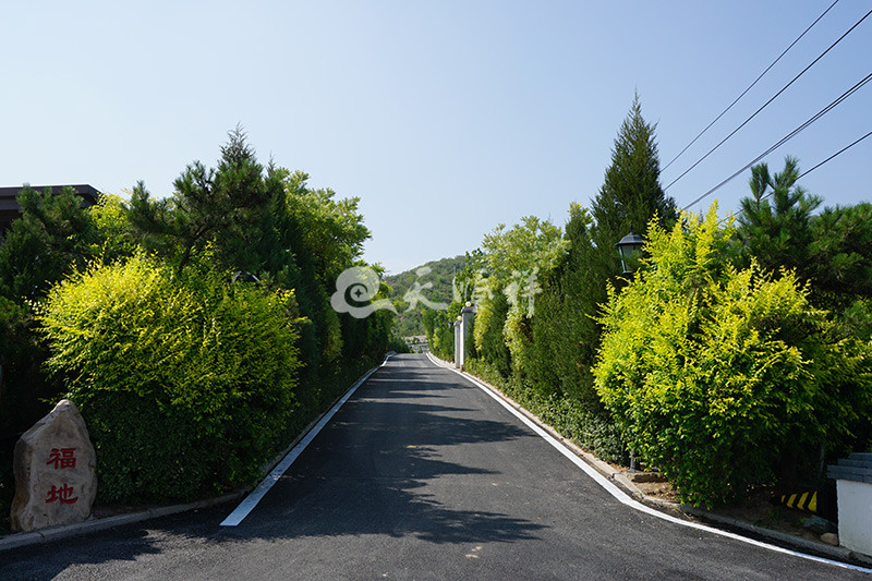 天安堂公墓道路景观