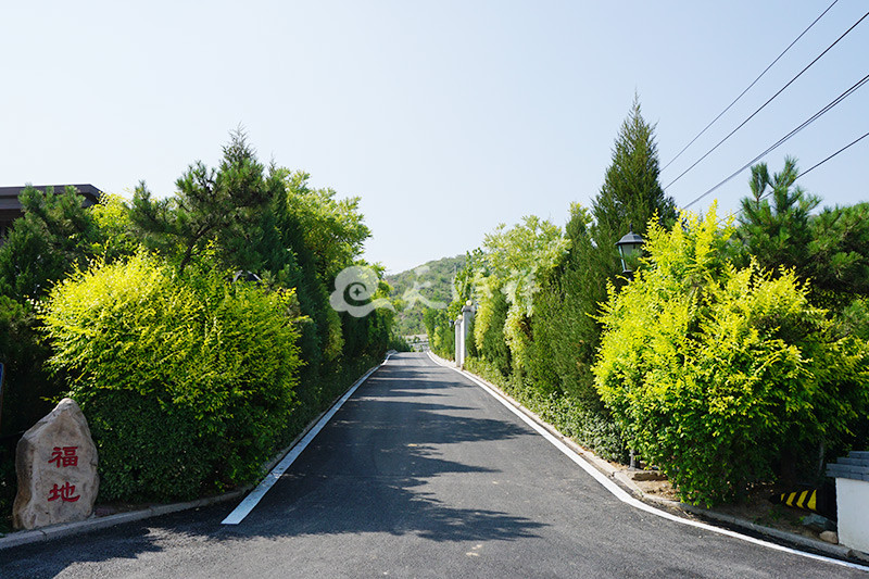 天安堂公墓道路景观