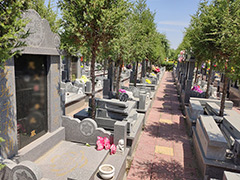买了墓地啥时候开始交管理费？公墓每年需要交管理费吗？