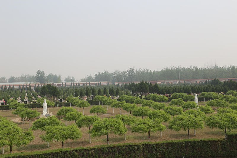 常山陵园墓区环境实拍