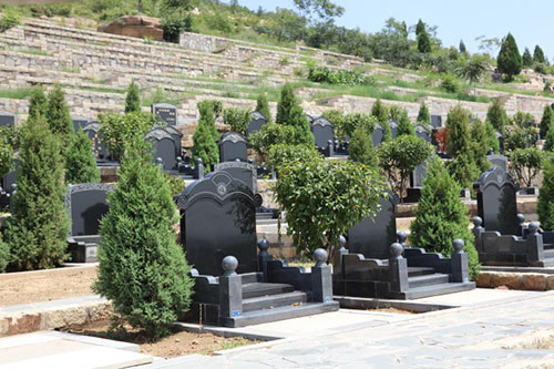 古中山陵园墓区环境