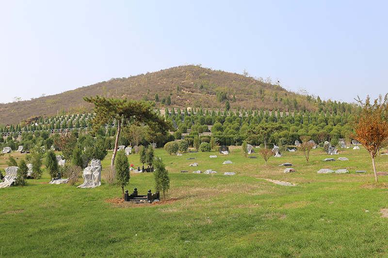 古中山陵园墓地环境