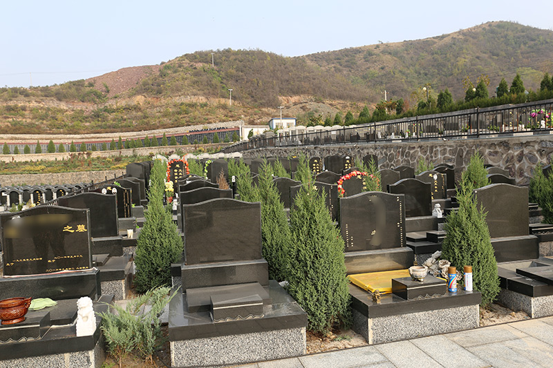 天安堂公墓墓区绿化