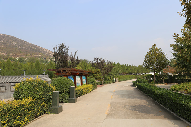 古中山陵园绿化景观