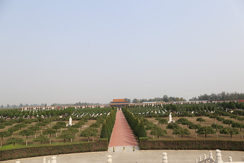 常山陵园墓区景观