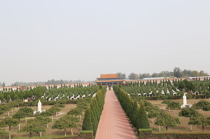 常山陵园墓地环境实拍