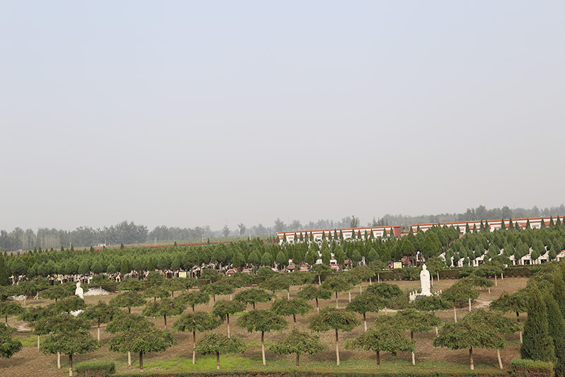 常山陵园墓区景观