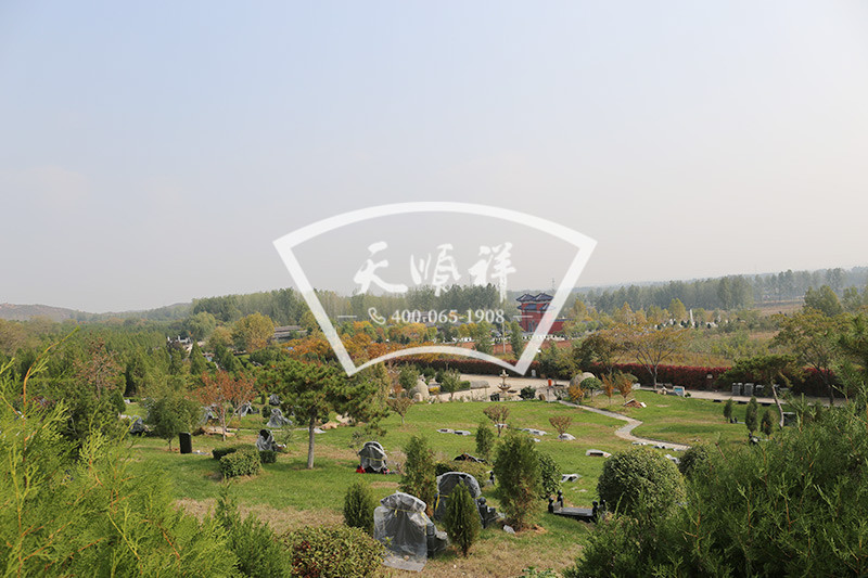 古中山陵园墓区绿化