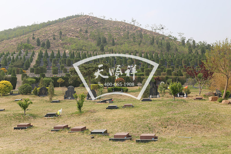古中山陵园生态葬树葬区