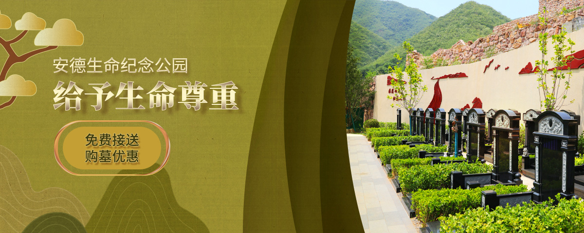 安德生命纪念公园官网