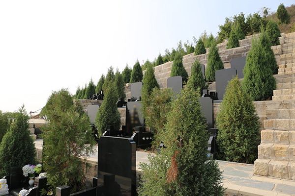 石家庄有接送骨灰服务的殡葬公司吗?石家庄接灰电话是多少?