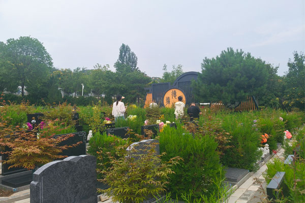 选墓日记:桥西袁先生实地考察平山古中山陵园,顺利敲定福地