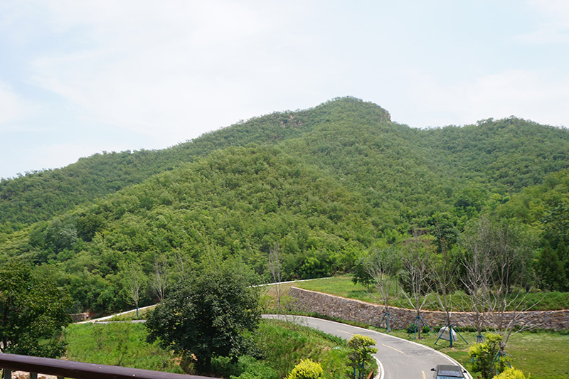 安德生命纪念公园周边山势