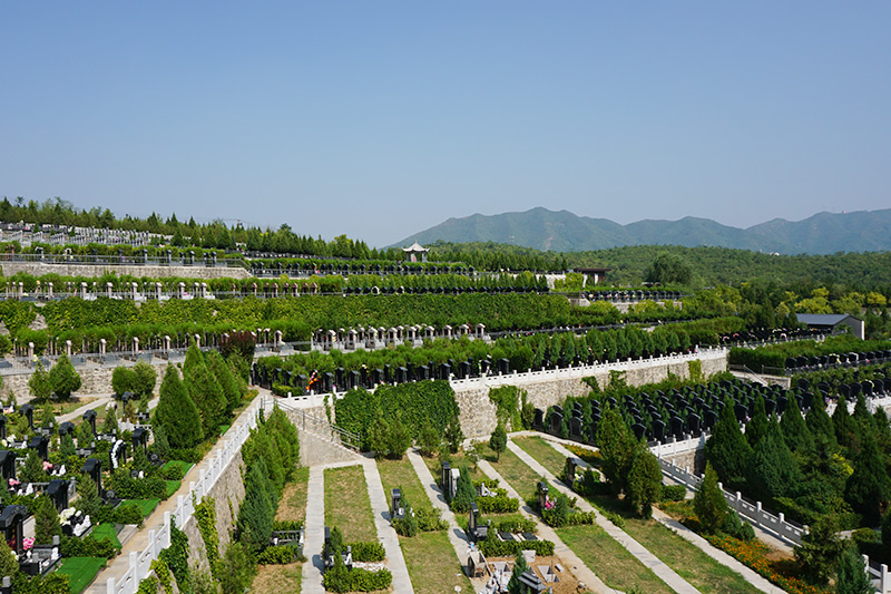 公墓墓区绿化