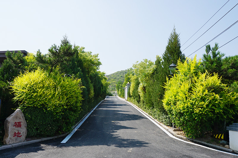 公墓墓区道路