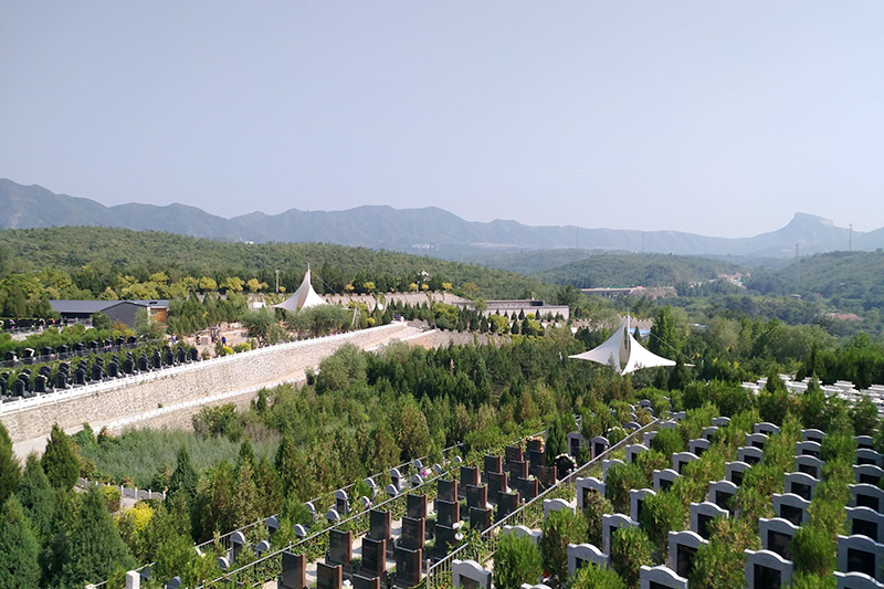 墓区实拍