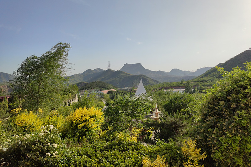 园区植被景观