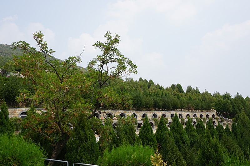陵园墓区实拍