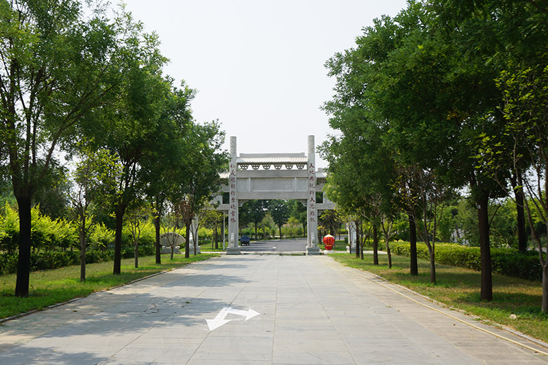 陵园道路绿化