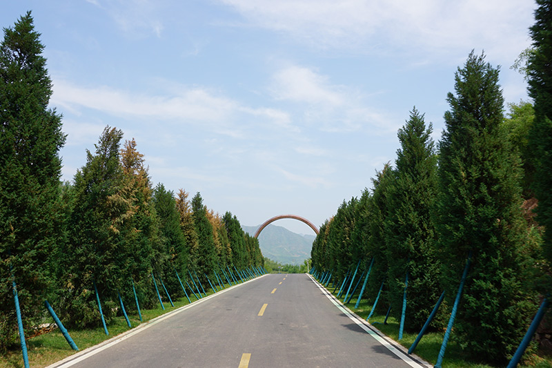 道路两边绿化