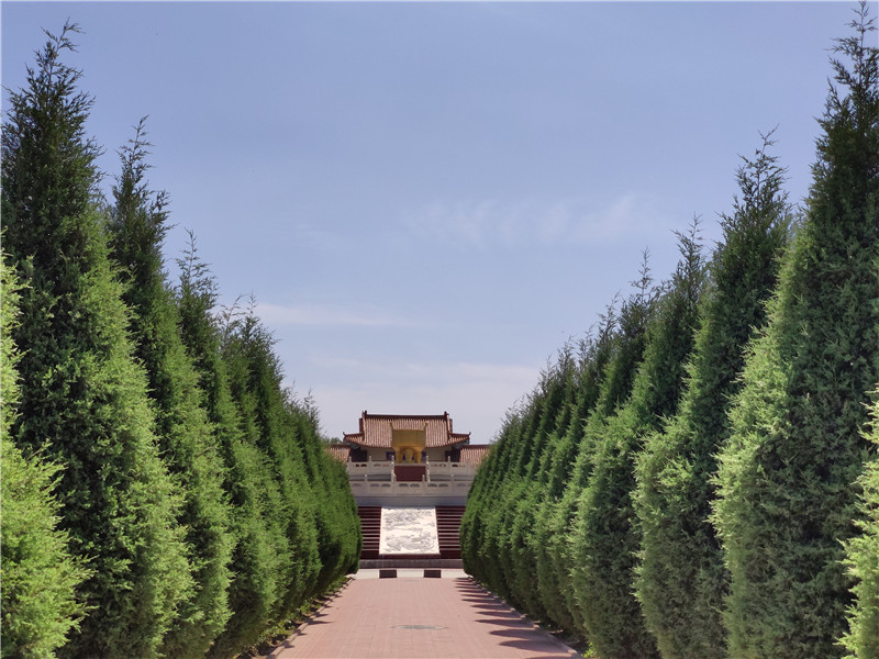 常山陵园绿化