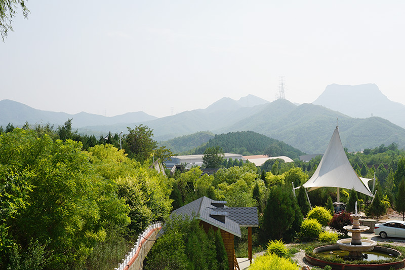 园区景观
