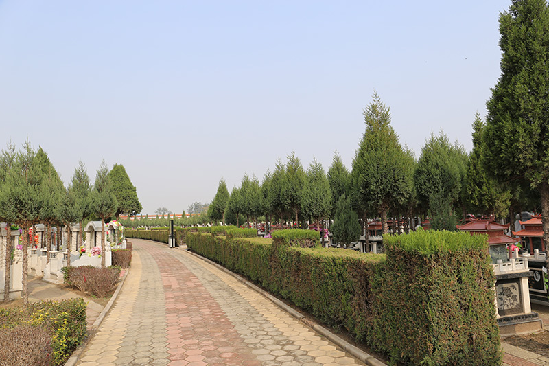 园区道路
