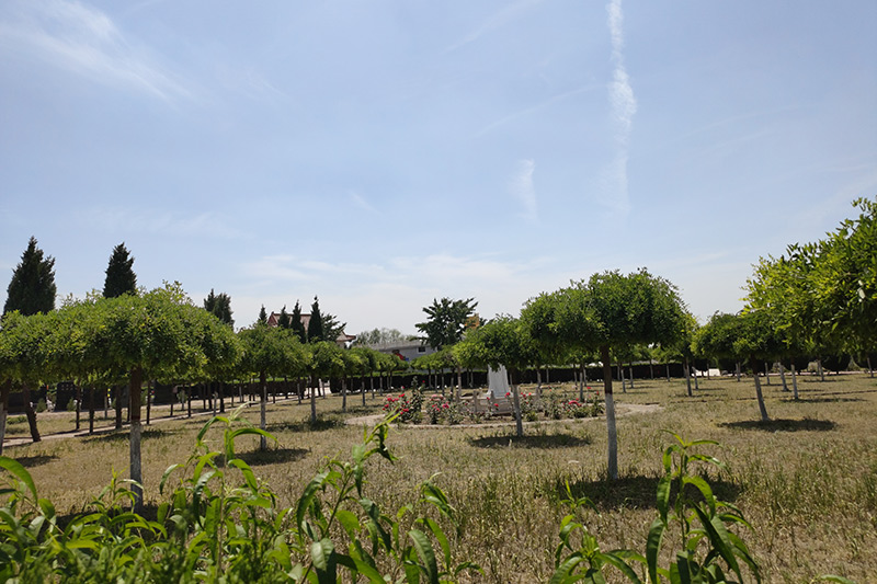 常山陵园环境实拍