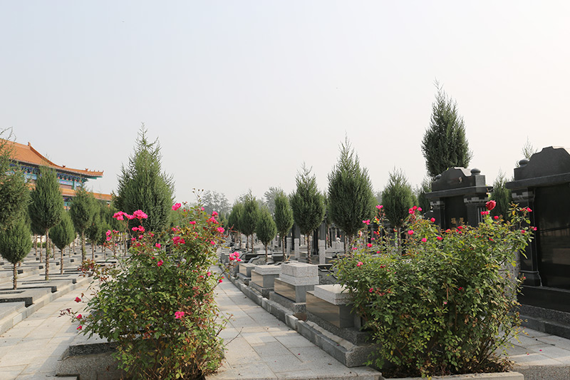 墓区实拍 墓区实拍