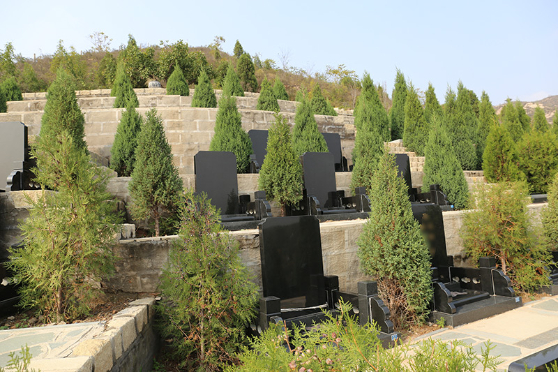 古中山陵园 古中山陵园