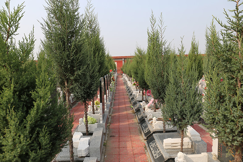 墓区景观 墓区景观