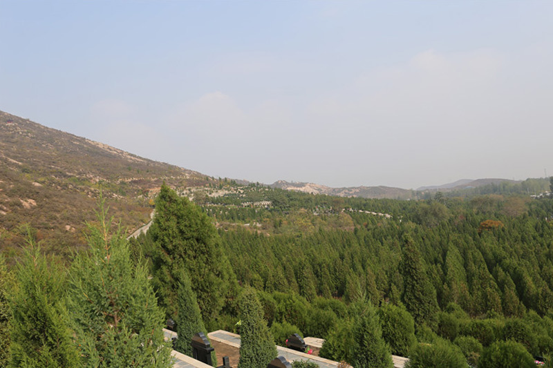 墓地景观 墓地景观
