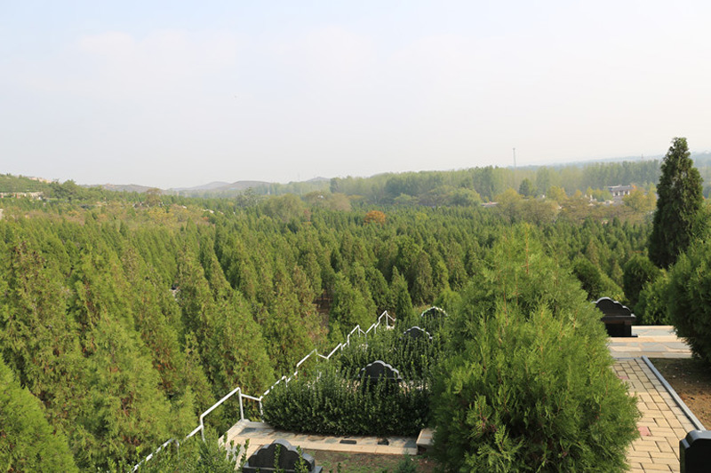 墓地绿化 墓地绿化