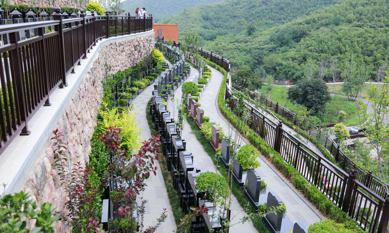 安德生命纪念公园墓区实拍