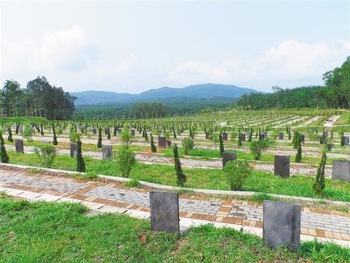 墓地环境实拍