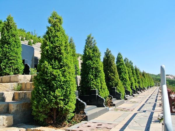 古中山陵园墓区绿化